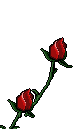 bl10